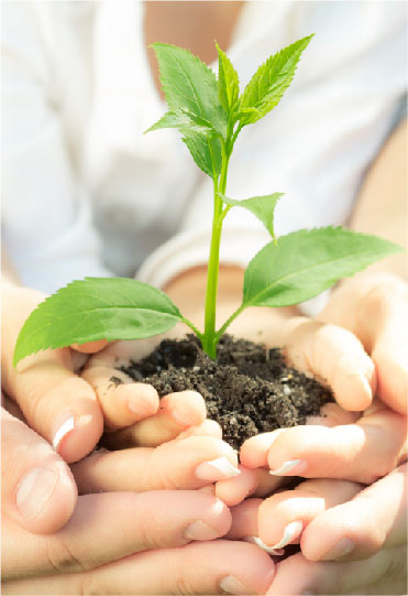 responsabilidad imagen