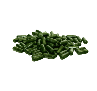 Spirulina sobre pequeño